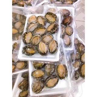 Hcm / bào ngư túi 500gram / 9 con