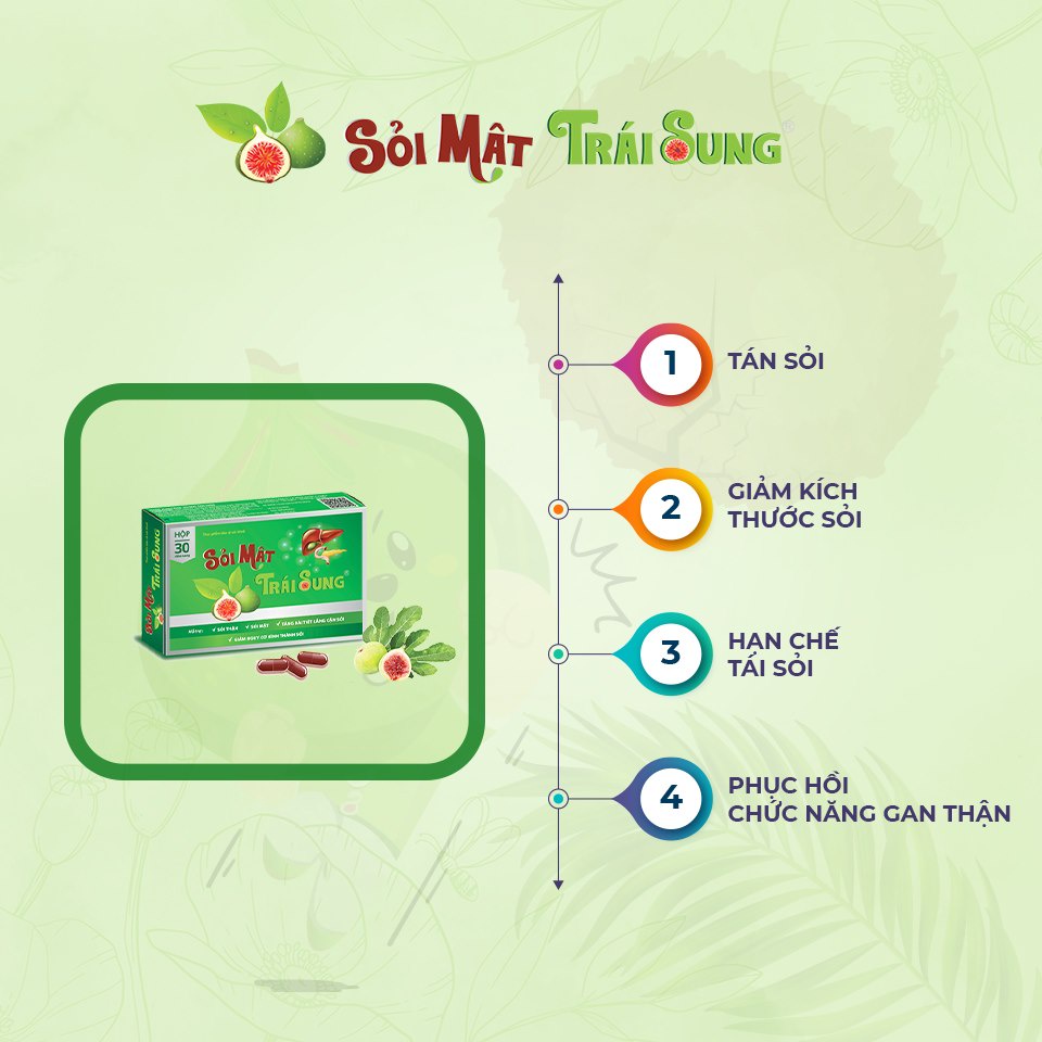 SẢN PHẨM HỖ TRỢ CẢI THIỆN SỎI MẬT - SỎI MẬT TRÁI SUNG