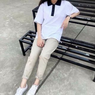 Set bộ kate