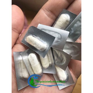 thuốc con nhộng đặc trị Cá-Tép chết lai rai ( 1 viên )
