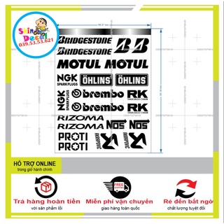 Shindecal- logo sticker in decal trong