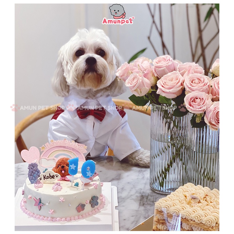 Áo Vest Cho Chó Mèo Mẫu Áo Vest Sơ Mi Chú Rể Cho Thú Cưng Mặc Đám Cưới Dự Tiệc Sinh Nhật Amun Pet