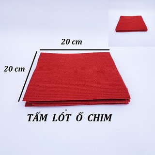 Combo 10 Thảm lót ổ chim Bồ câu