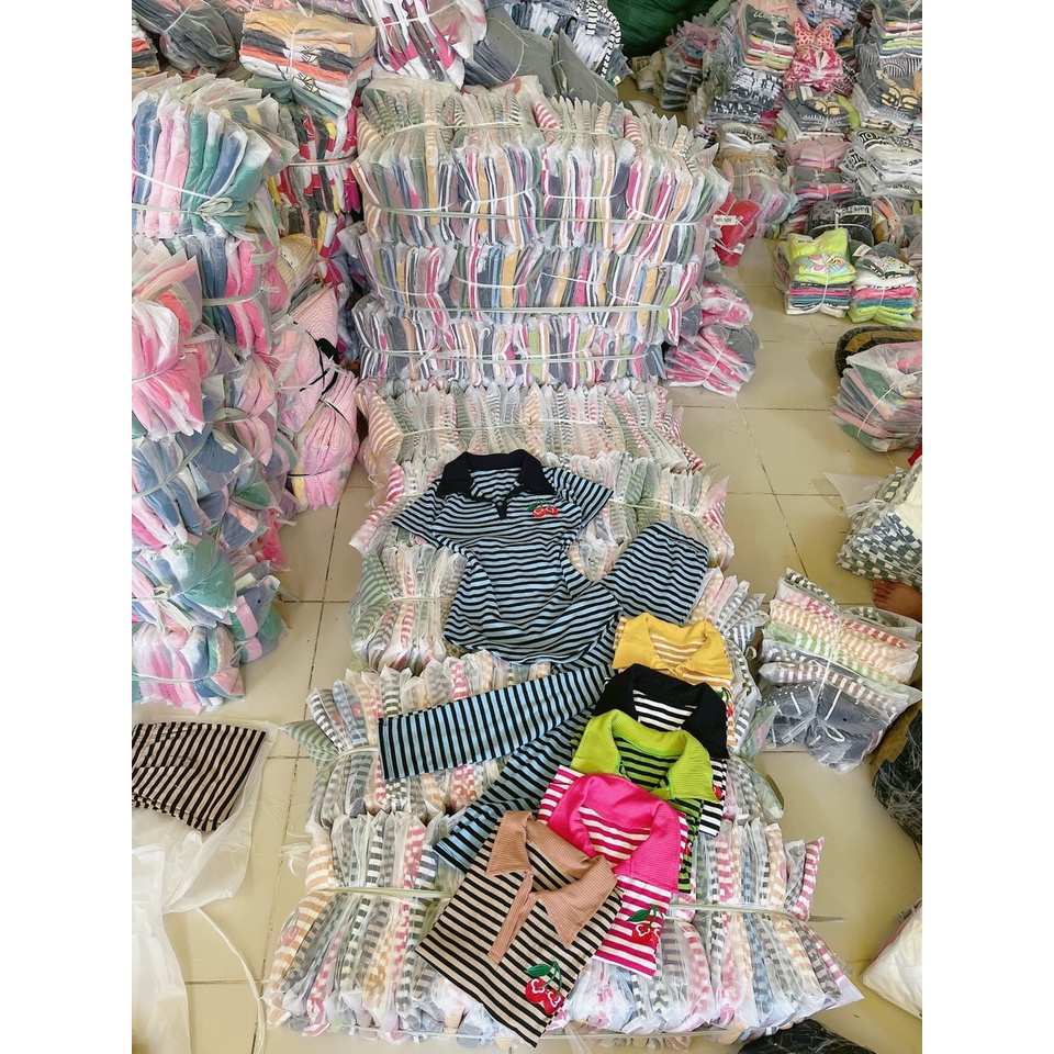 Đồ bộ nữ, set đồ bộ quần legging đai cao có túi và áo ôm ngắn tay cổ sơ mi lai bầu THÊU CHERRY vải thun cotton gân borip