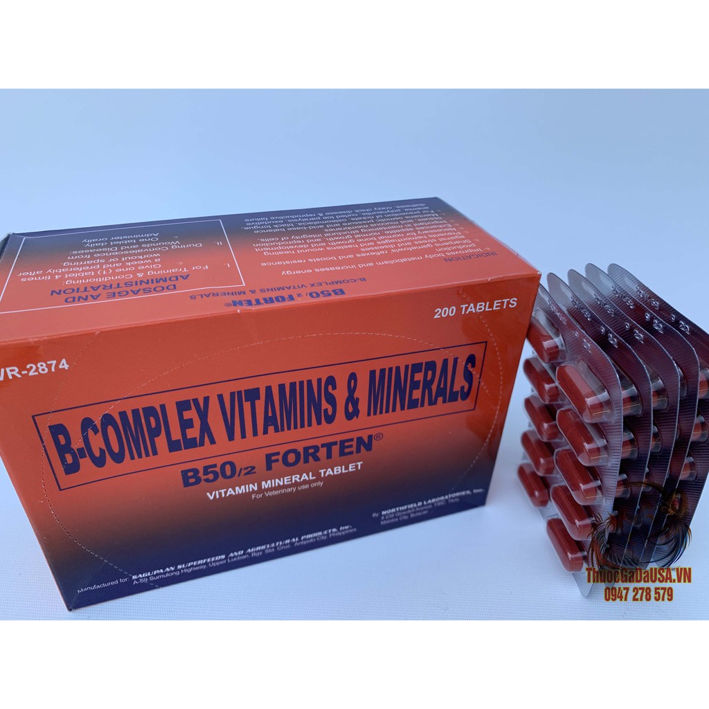 Thuốc Nuôi Gà Đá B-Complex B50/2 FORTEN Cung Cấp Hổn Hợp Các Vitamin Và Khoáng Chất ( 2 Vỉ 20 Viên)