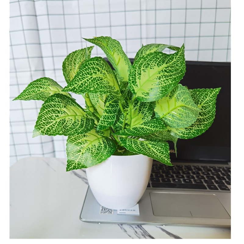 Chậu Cây Bonsai Nhân Tạo Trang Trí Nhà Cửa / Tiệc Cưới / Năm Mới