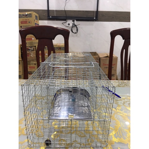 LỒNG BẮT CHUỘT - LỒNG BẪY CHUỘT THÔNG MINH