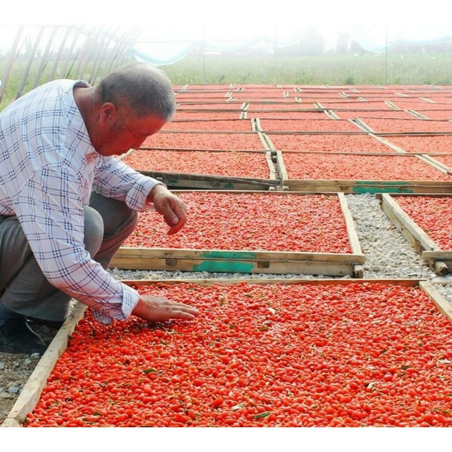 500gr HẠT KỶ TỬ - đẹp mê ly hạt to đều đẹp không vỡ