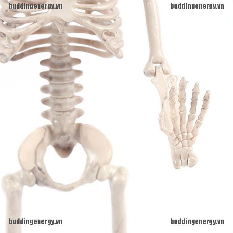 Mô Hình Bộ Xương Người 2020 Dùng Để Trang Trí Halloween Tiện Dụng