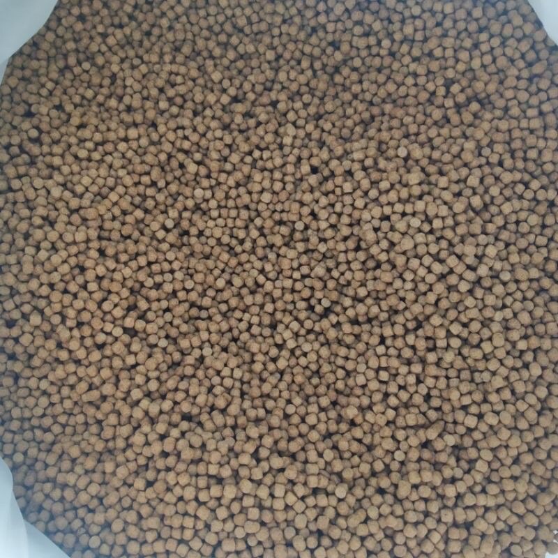 Cám cá chép, cá koi 1kg