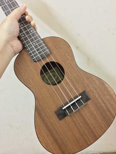 ĐÀN UKULELE CONCERT AUANTI