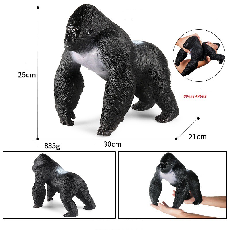 Đồ Chơi Mô hình Quái vật King Kong 2022