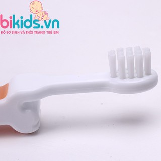 Bàn chải đánh răng Basilic