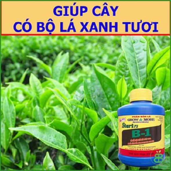 Phân bón vitamin B1 Start của Growmore chai 235ml - tăng đề kháng, phát triển rễ thân cành lá