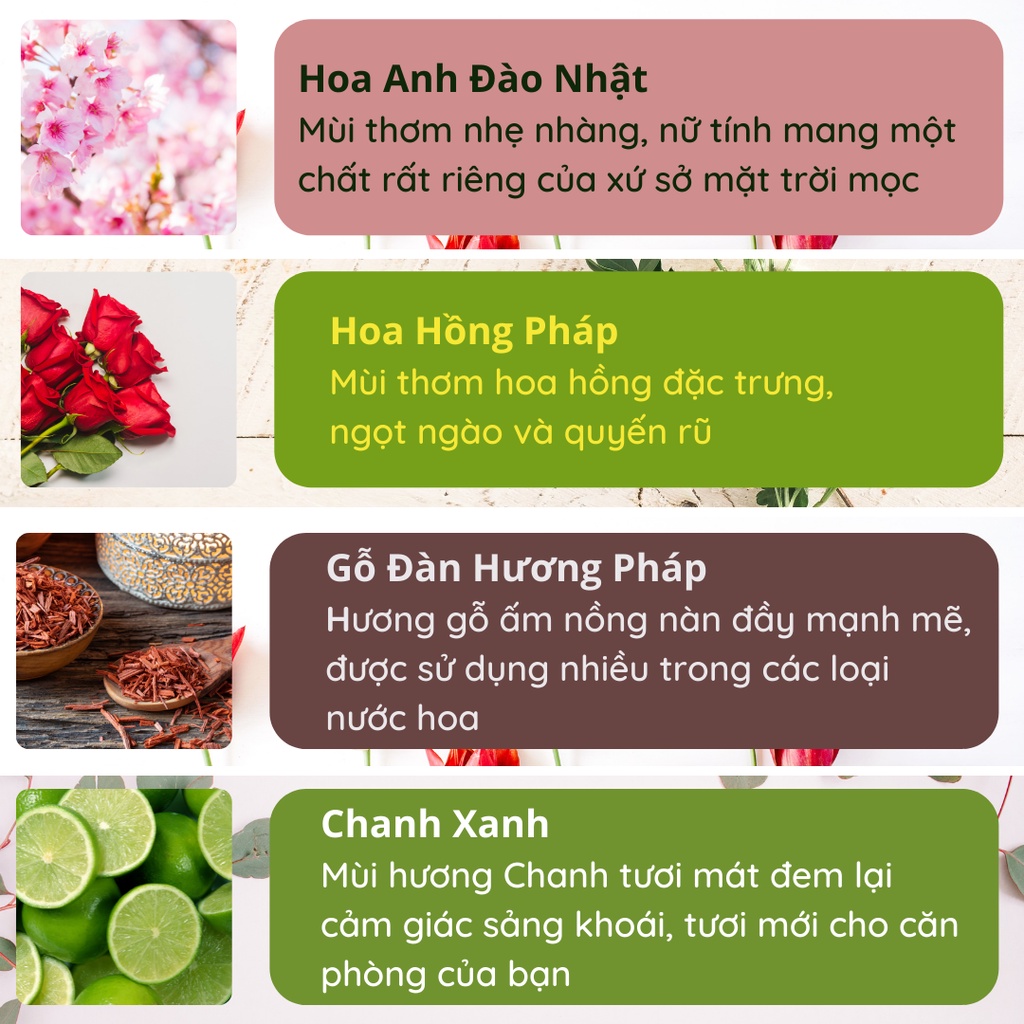 Lọ khuếch tán thơm phòng WIACHNN bổ sung tinh dầu nước hoa thiên nhiên nguyên chất tán hương cao cấp VAROMA KT08