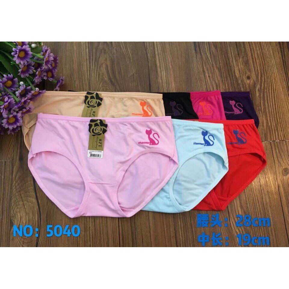 10 quần lót cotton mèo 01