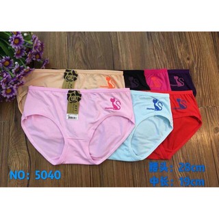 10 quần lót cotton mèo 01