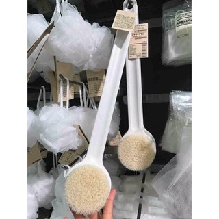 CÂY CỌ KÌ LƯNG MUJI NHẬT BẢN