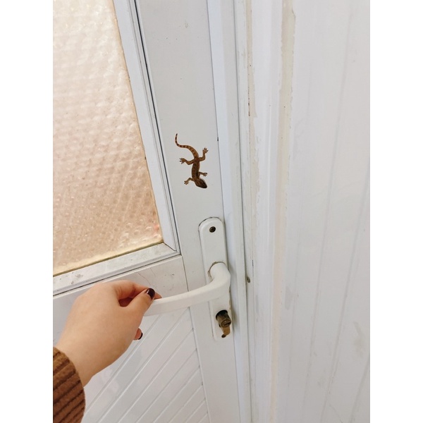 Miếng dán 3D hình con gián, thạch thùng, sâu, ruồi sticker