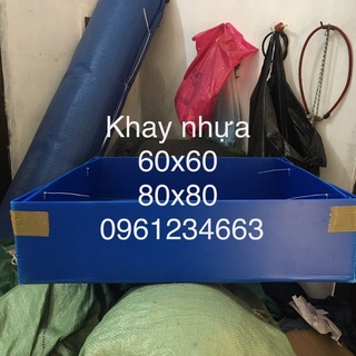 khay đựng cát cho bu úp gà chọi bằng nhựa không kèm lồng