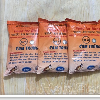 Thức ăn cám trứng cho chim