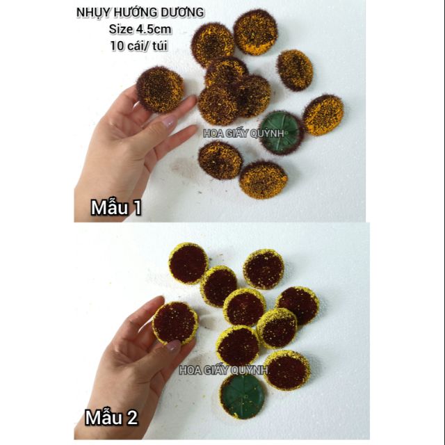NHỤY HƯỚNG DƯƠNG 4.5CM - 10 cái