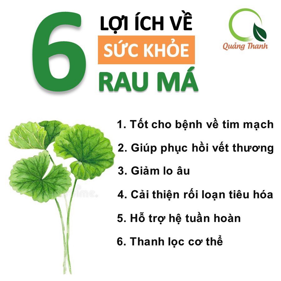 Rau Má Đường Phèn Quảng Thanh - Hỗ trợ giải độc gan, thanh nhiệt, giảm mụn nhọt (17gx10 túi)