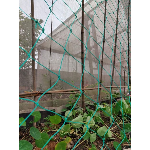 Dây Lưới giăng giàn leo, đan lưới trồng cây leo chất liệu sợi cước HDPE nhiều màu sắc