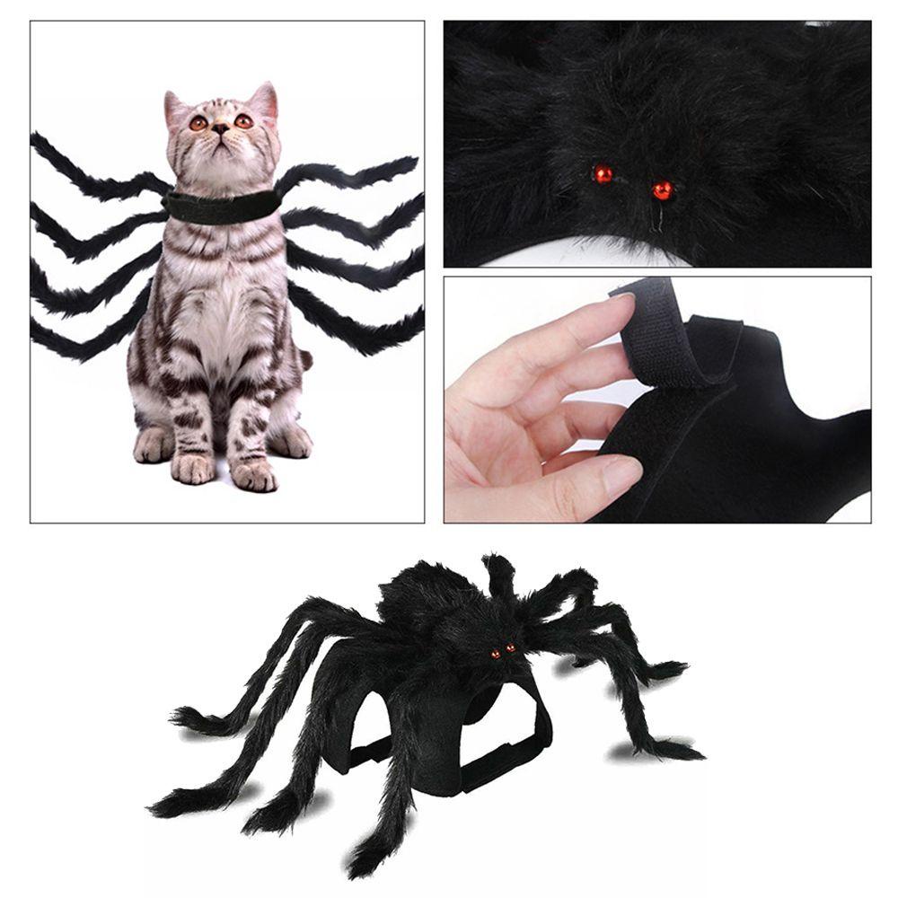 (MớI) Bộ Đồ HóA Trang NhệN LAYOR1 Cho Thú Cưng