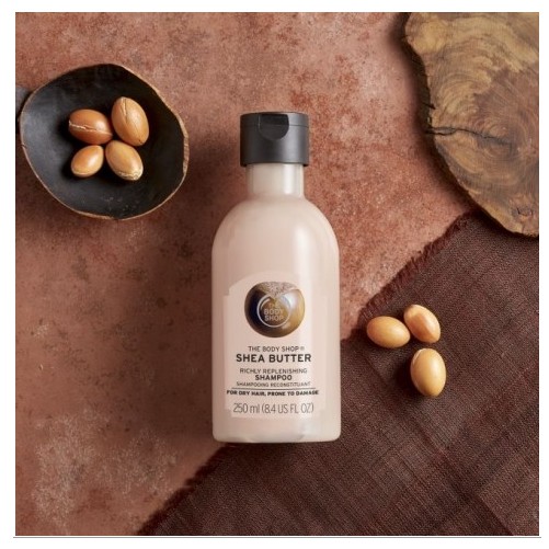 Dầu gội The Body Shop Shea Butter richly replenishing shampoo 250ml