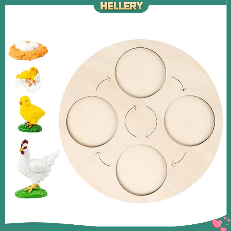 Bảng Mạch Tăng Trưởng Chu Kỳ Montessori Sớm Cho Bé [HelleryVN] #Educational Balo Đi Học Mẫu Giáo Dễ Thương Cho Bé