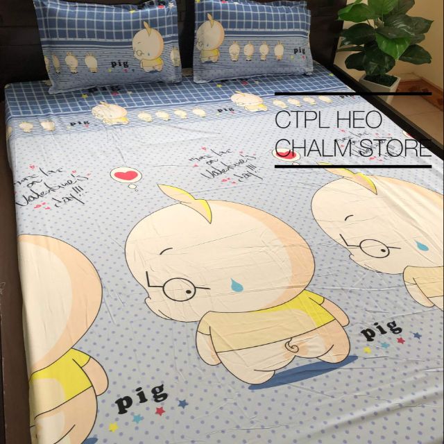 Ga gối cotton poly