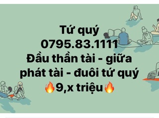 SIM TAXI - SIM TỨ QUÝ - SIM LỘC PHÁT