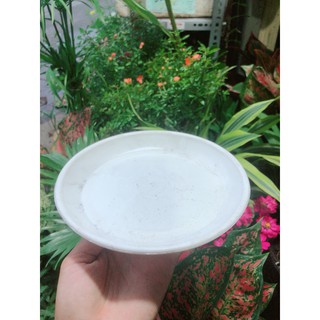 Đĩa Lót Chậu đường kính 17-21-24cm