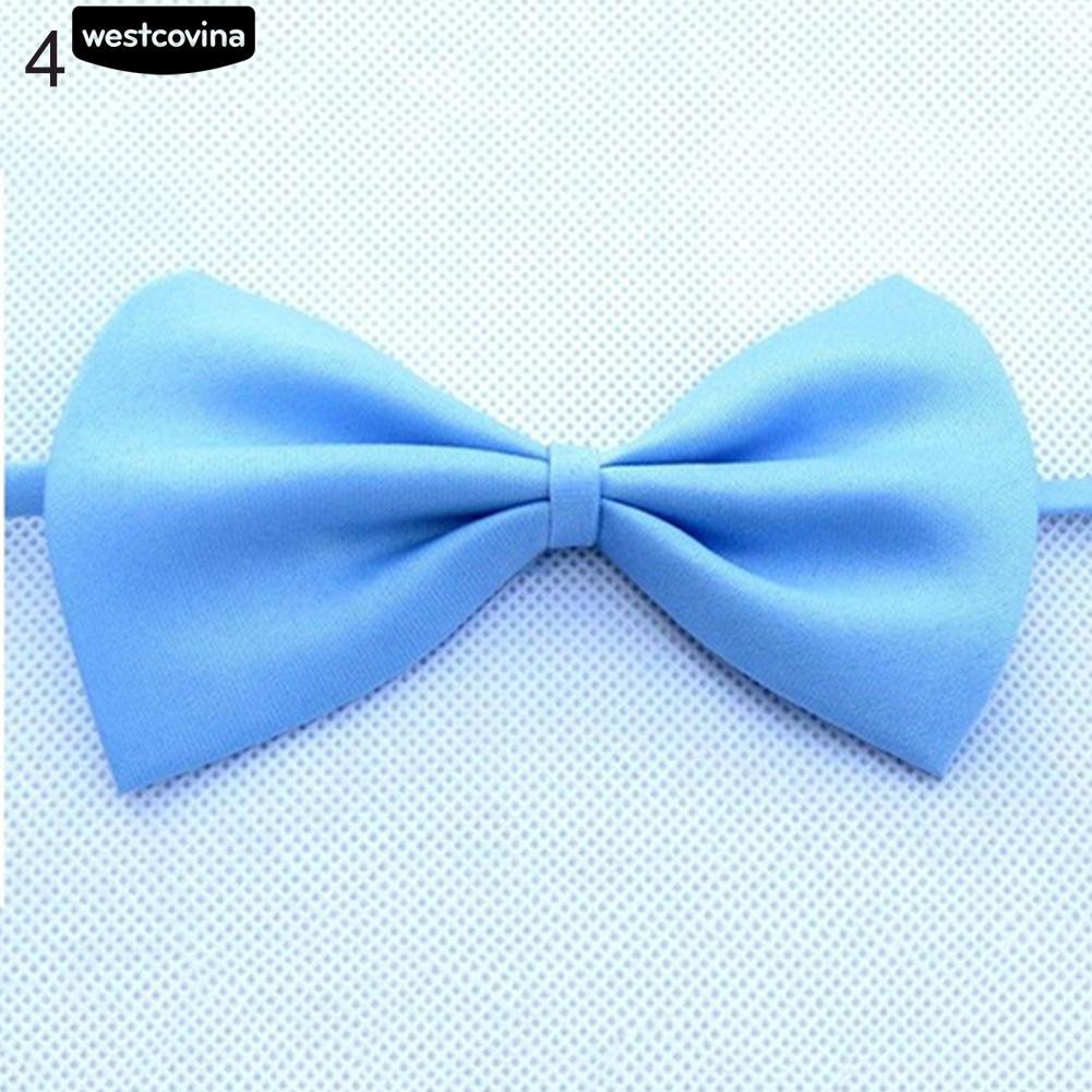 Vòng Cổ Hình Nơ Xinh Xắn Cho Thú Cưng