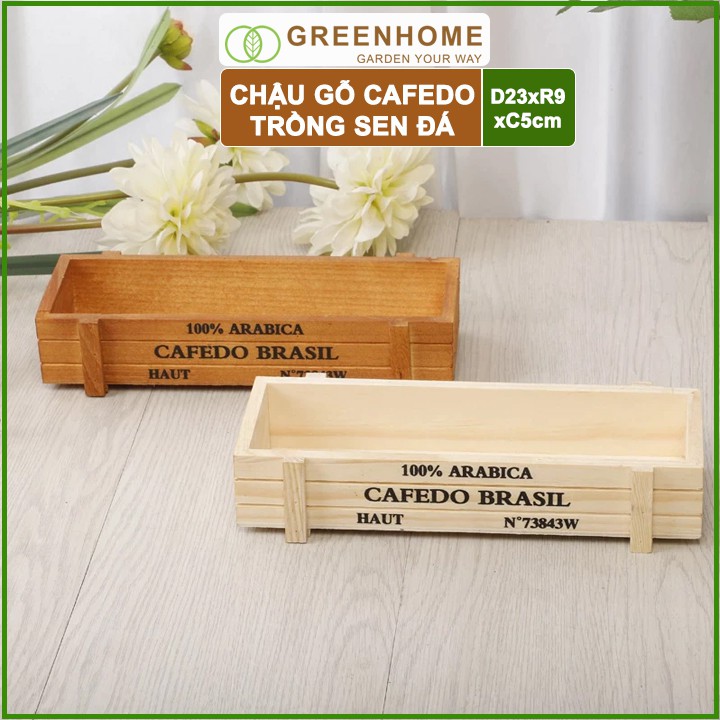 Chậu gỗ trồng sen đá Cafedo, D23xR9xC5cm, màu nâu, trang trí cây cảnh để bàn, xương rồng |Greenhome