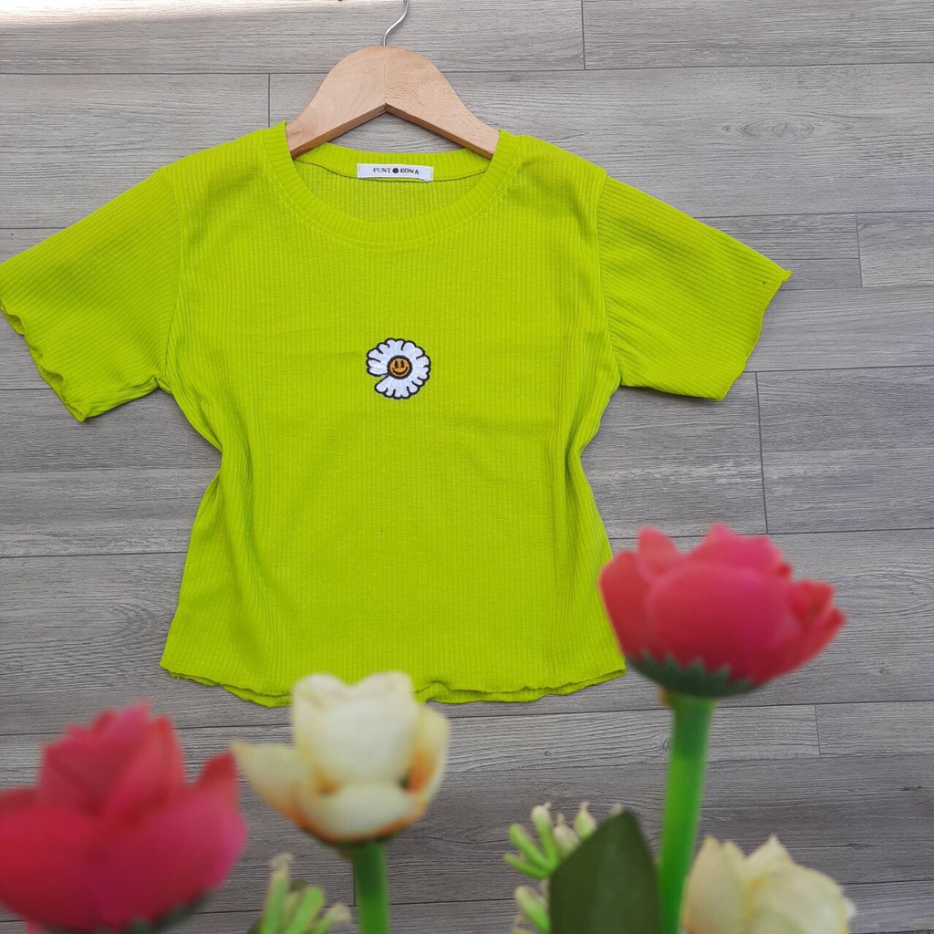 [Mã FAMAYWA giảm 10K đơn 50K] Áo Thun Croptop Thêu Hoa Cúc Body 4 Màu Xinh Xắn | BigBuy360 - bigbuy360.vn