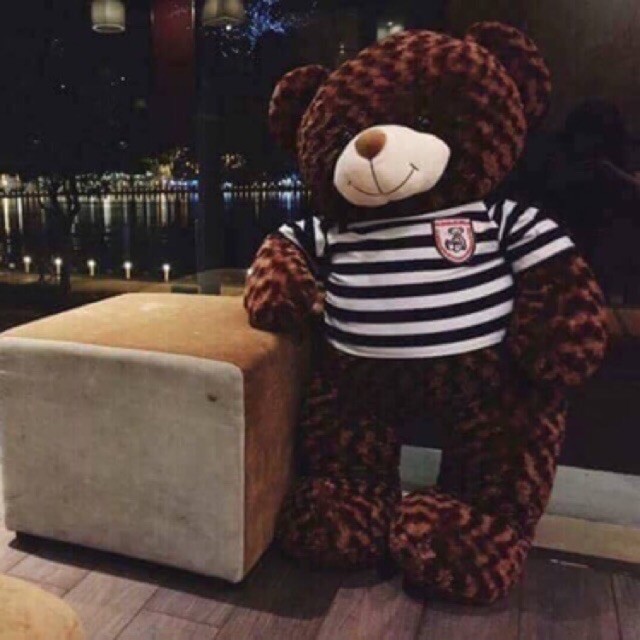 ( Freeship Ac ) Gấu teddy khổ 1m2 cao 1m hàng VNXK