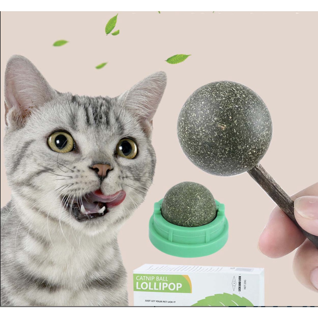 Góc Phê Pha - Catnip Cỏ Bạc Hà Cho Mèo  ~ 3g