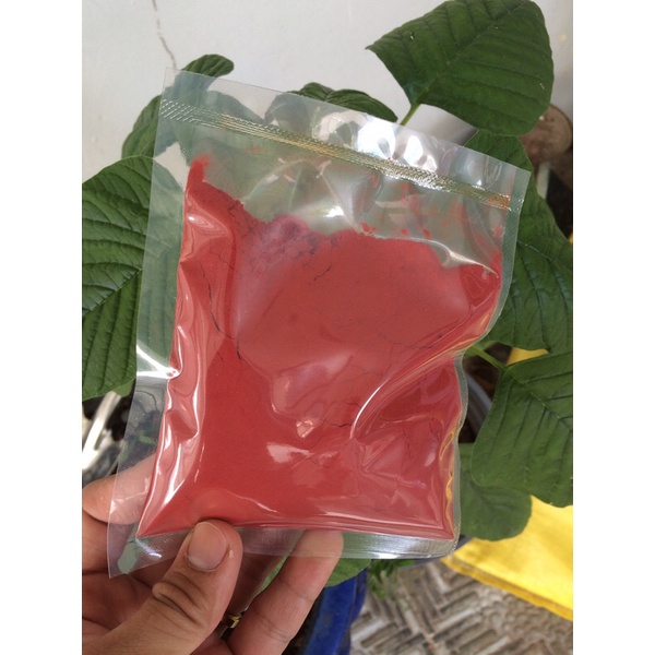 Nghệ bột đỏ dành cho gà đá (500g) - Pet Food Store.
