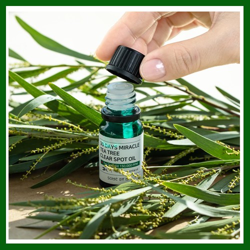 Tinh dầu Some by mi ❤️freeship❤️ Tinh dầu tràm trà Some By Mi 30 Days Miracle Tea Tree Clear Spot Oil 10ml | BigBuy360 - bigbuy360.vn