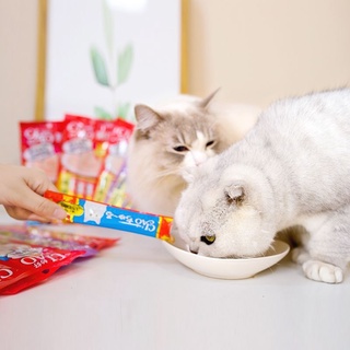 😺 Súp Thưởng Ciao Churu Cho Mèo