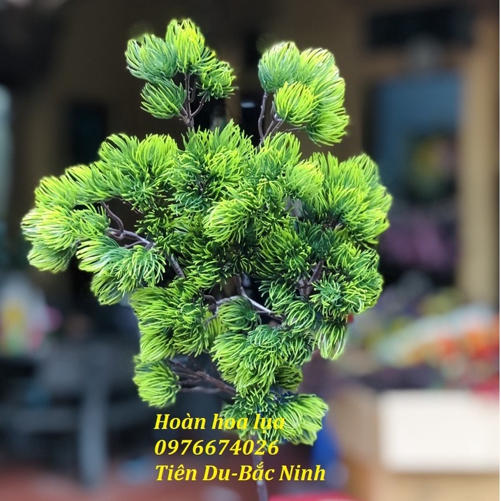 Cành Tùng Nhựa Nghệ Thuật Làm Bonsai, Cắm Bình Cực Đẹp Giống Thật 99%_Hoàn Hoa Lụa