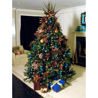 Cây thông noel 1m5 + phụ kiện đi kèm có ảnh thật