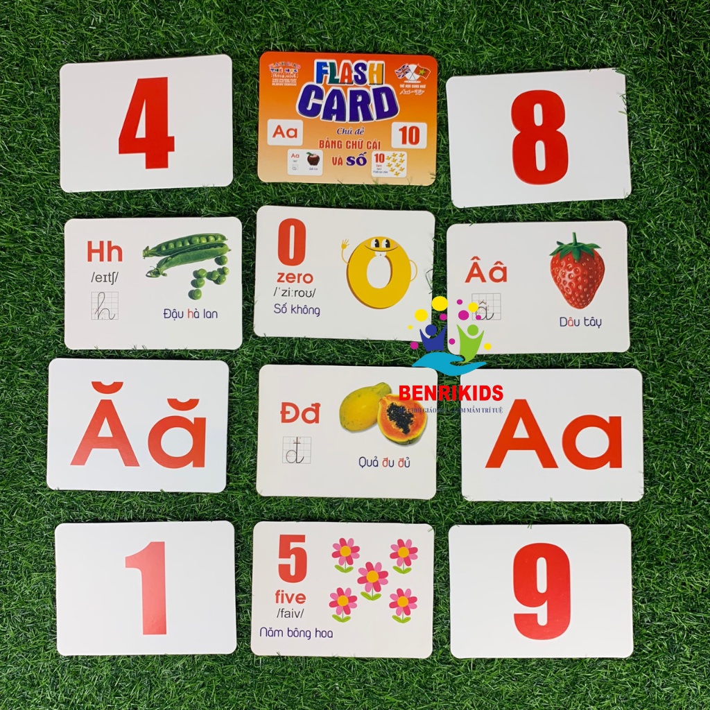 Thẻ Học FlashCard Thông Minh Loại To 16x12Cm 14 Chủ Đề Theo Phương Pháp Glenn Doman Giúp Bé Phát Triển Vượt Trội