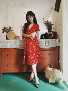 Set dạ của linh