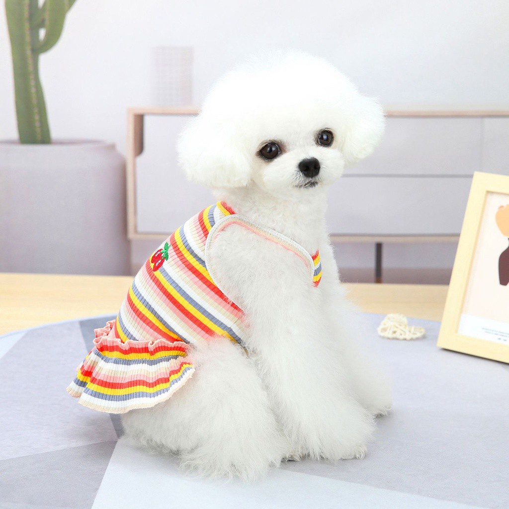 Đầm công chúa không tay bằng cotton họa tiết cầu vồng cherry phối ren dành cho thú cưng nhỏ vừa dễ thương