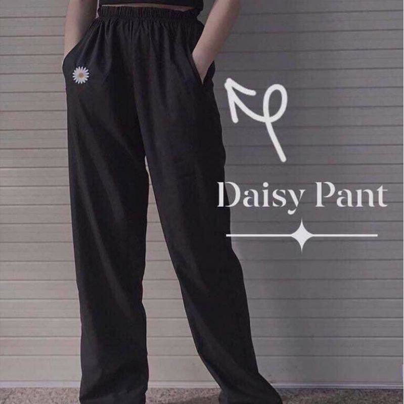 Quần Baggy Nam Kaki Ống Suông thêu hoa unisex