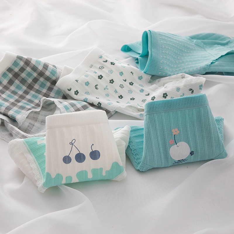Bộ 1/5 Quần Lót Cotton Lưng Vừa Thoáng Khí Cho Nữ