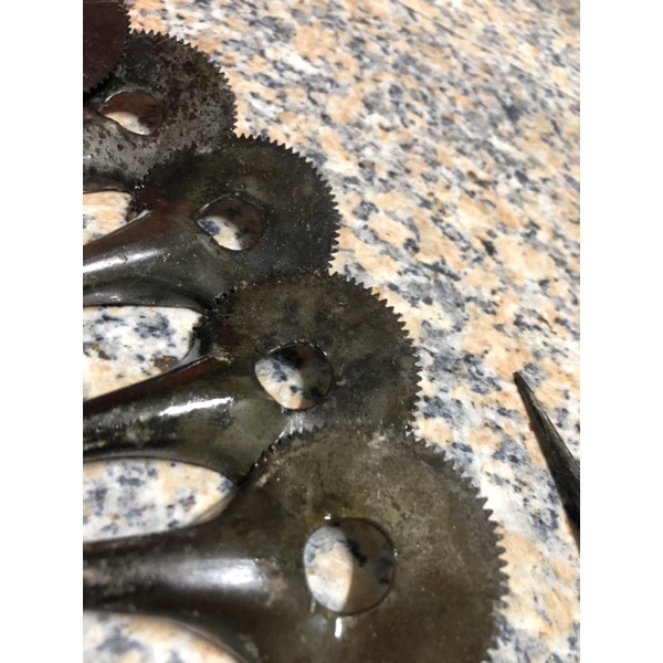 Lưỡi nạo dừa